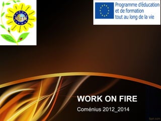 WORK ON FIRE
Coménius 2012_2014
 