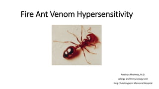 Fire Ant Venom Hypersensitivity
Natthiya Pholmoo, M.D.
Allergy and Immunology Unit
King Chulalongkorn Memorial Hospital
 