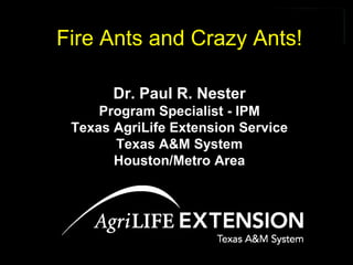 Fire Ants and Crazy Ants!

       Dr. Paul R. Nester
     Program Specialist - IPM
 Texas AgriLife Extension Service
       Texas A&M System
       Houston/Metro Area
 