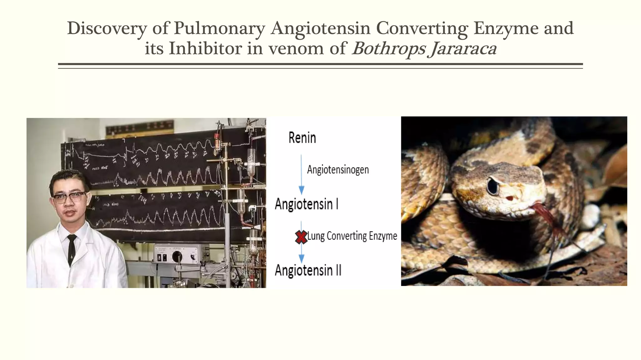 Discovery of Pulmonary Angiotensin Converting Enzyme and
its Inhibitor in venom of Bothrops Jararaca
 