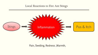 Stings Inflammation Pus & Itch
Local Reactions to Fire Ant Stings
Pain, Swelling, Redness ,Warmth,
 