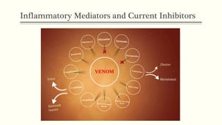 Inflammatory Mediators and Current Inhibitors
 