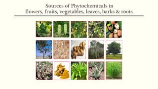 Sources of Phytochemicals in
flowers, fruits, vegetables, leaves, barks & roots
 
