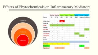 Effects of Phytochemicals on Inflammatory Mediators
 
