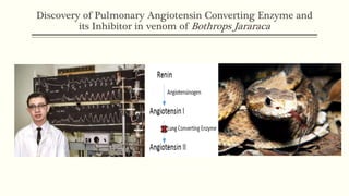 Discovery of Pulmonary Angiotensin Converting Enzyme and
its Inhibitor in venom of Bothrops Jararaca
 