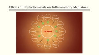Effects of Phytochemicals on Inflammatory Mediators
 