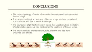CONCLUSIONS
 The pathophysiology of acute inflammation has outpaced the treatment of
fire ant stings.
 The conventional topical treatment of fire ant stings needs to be updated
in accordance with new scientific knowledge.
 The abundance of phytochemicals in nature that targets multiple mediators
of inflammation opens up new frontiers for the treatment of fire ant stings.
 The phytochemicals are inexpensive, safe, effective and free from
unwanted side effects.
 