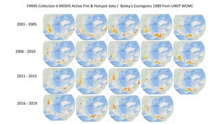 2001 - 2005
2006 - 2010
2011 - 2015
2016 - 2019
FIRMS Collection 6 MODIS Active Fire & Hotspot data / Bailey's Ecoregions 1989 from UNEP WCMC
 