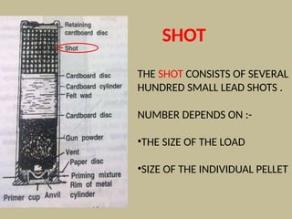 THE SHOT CONSISTS OF SEVERAL
HUNDRED SMALL LEAD SHOTS .
NUMBER DEPENDS ON :-
•THE SIZE OF THE LOAD
•SIZE OF THE INDIVIDUAL PELLET
SHOT
 