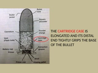 THE CARTRIDGE CASE IS
ELONGATED AND ITS DISTAL
END TIGHTLY GRIPS THE BASE
OF THE BULLET
 