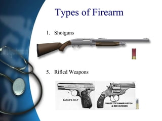 Types of Firearm Shotguns Rifled Weapons 