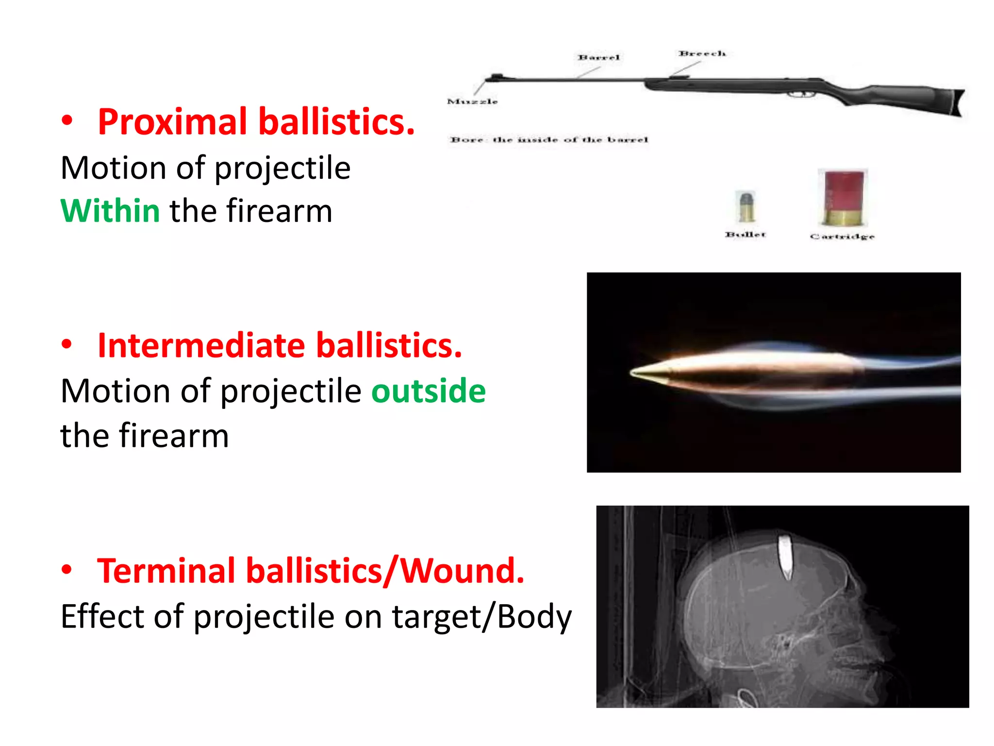 Berna Firearm Injuries Firearm injuries | PPTX