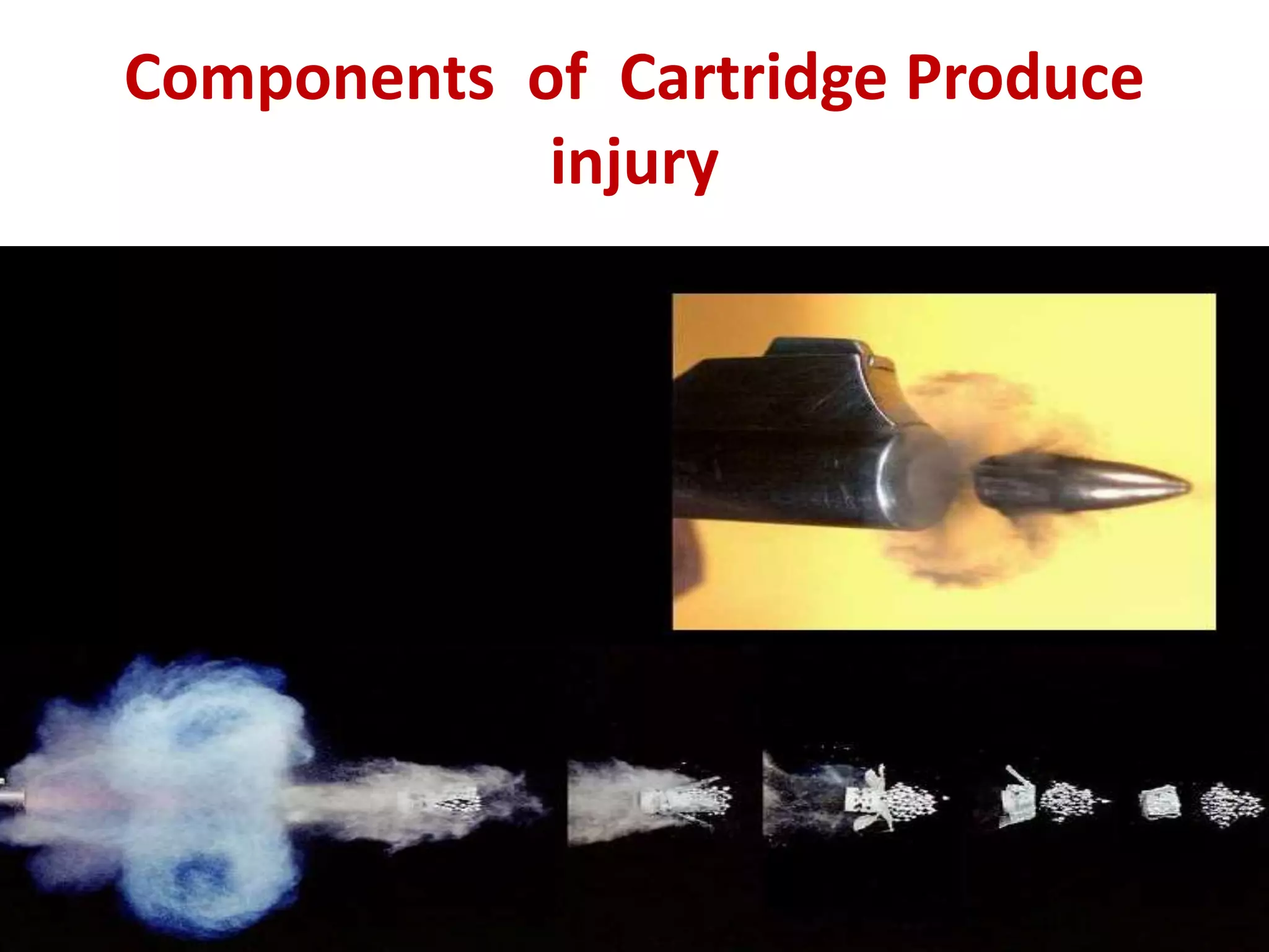 Firearm injuries | PPTX