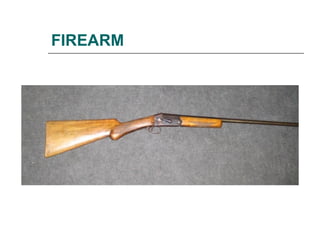 Fire Arm Injuries Fire Arm Injuries .ppt