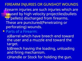Berna Firearm Injuries Comprehensive Overview of Firearm Injuries and Forensic Ballistics for ...