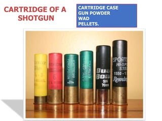 CARTRIDGE OF A
SHOTGUN
CARTRIDGE CASE
GUN POWDER
WAD
PELLETS.
 
