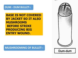 MUSHROOMING OF BULLET-:
DUM - DUM BULLET-:
BASE IS NOT COVERED
BY JACKET SO IT ALSO
MUSHROOMS
BEFORE STRIKE
PRODUCING BIG
ENTRY WOUND.
 