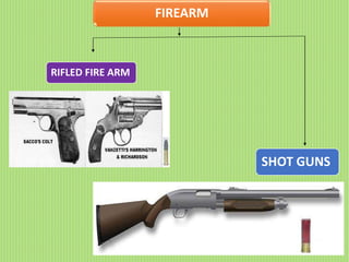 FIREARM
RIFLED FIRE ARM
SHOT GUNS
 