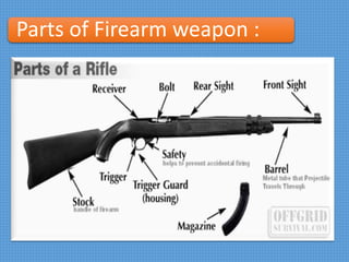 Parts of Firearm weapon :
 