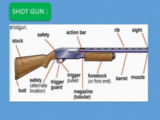 SHOT GUN :
 