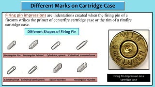 Firing pin impressions are indentations created when the firing pin of a
firearm strikes the primer of centerfire cartridge case or the rim of a rimfire
cartridge case.
Different Marks on Cartridge Case
Firing Pin Impression on a
cartridge case
Rectangular Flat Rectangular Pointed Cylindrical, spheric Cylindrical, truncated cone
Cylindrical Flat Cylindircal semi spheric Square rounded Rectangular rounded
Different Shapes of Firing Pin
 