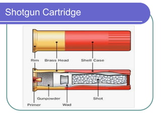 Shotgun Cartridge
 