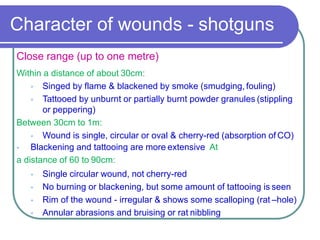 Character of wounds - shotguns
Close range (up to one metre)
Within a distance of about 30cm:
 Singed by flame & blackened by smoke (smudging, fouling)
 Tattooed by unburnt or partially burnt powder granules (stippling
or peppering)
Between 30cm to 1m:
 Wound is single, circular or oval & cherry-red (absorption of CO)
 Blackening and tattooing are more extensive At
a distance of 60 to 90cm:
 Single circular wound, not cherry-red
 No burning or blackening, but some amount of tattooing is seen
 Rim of the wound - irregular & shows some scalloping (rat –hole)
 Annular abrasions and bruising or rat nibbling
 