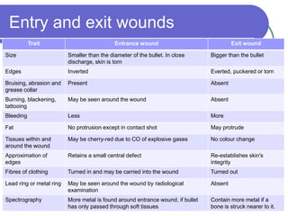 Entry and exit wounds
Trait Entrance wound Exit wound
Size Smaller than the diameter of the bullet. In close
discharge, skin is torn
Bigger than the bullet
Edges Inverted Everted, puckered or torn
Bruising, abrasion and
grease collar
Present Absent
Burning, blackening,
tattooing
May be seen around the wound Absent
Bleeding Less More
Fat No protrusion except in contact shot May protrude
Tissues within and
around the wound
May be cherry-red due to CO of explosive gases No colour change
Approximation of
edges
Retains a small central defect Re-establishes skin's
integrity
Fibres of clothing Turned in and may be carried into the wound Turned out
Lead ring or metal ring May be seen around the wound by radiological
examination
Absent
Spectrography More metal is found around entrance wound, if bullet
has only passed through soft tissues
Contain more metal if a
bone is struck nearer to it.
 