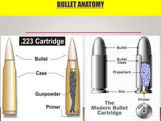 BULLET ANATOMY
 