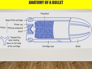 ANATOMY OF A BULLET
 