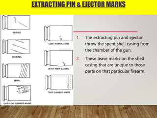 EXTRACTING PIN & EJECTOR MARKS
1. The extracting pin and ejector
throw the spent shell casing from
the chamber of the gun.
2. These leave marks on the shell
casing that are unique to those
parts on that particular firearm.
Extracting Pin and Ejector Marks
The extracting pin
and ejector throw
the spent shell
casing from the
chamber of the
gun.
These leave marks
on the shell casing
that are unique to
those parts on that
particular firearm.
 