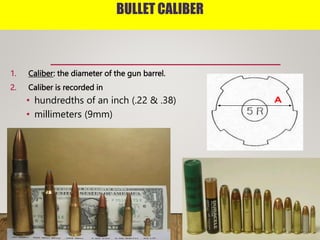 ANATOMY OF A BULLET
 