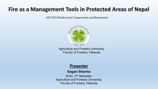 Agriculture and Forestry University,
Faculty of Forestry, Hetauda
Fire as a Management Tools in Protected Areas of Nepal
Presenter
Gagan Sharma
M.Sc. 2nd Semester
Agriculture and Forestry University,
Faculty of Forestry, Hetauda
603 EES Biodiversity Conservation and Restoration
 