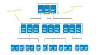 Collection
Sub-Collection
 