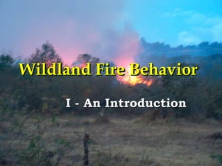 Wildland Fire Behavior
I - An Introduction
 