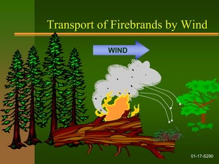 Fire behaviour _1.pptx
