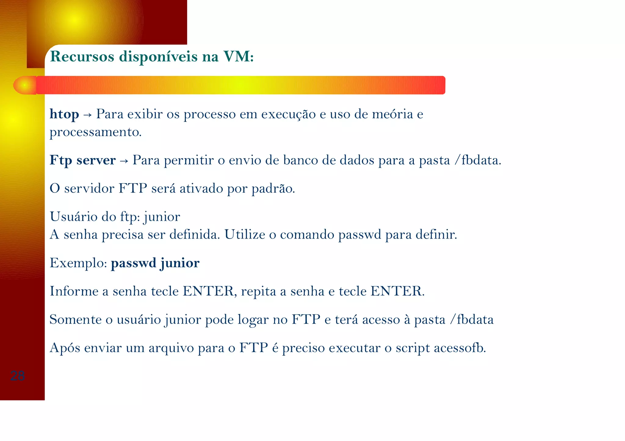 Recursos disponíveis na VM:
htop → Para exibir os processo em execução e uso de meória e
processamento.
Ftp server → Para permitir o envio de banco de dados para a pasta /fbdata.
O servidor FTP será ativado por padrão.
Usuário do ftp: junior
A senha precisa ser definida. Utilize o comando passwd para definir.
Exemplo: passwd junior
Informe a senha tecle ENTER, repita a senha e tecle ENTER.
Somente o usuário junior pode logar no FTP e terá acesso à pasta /fbdata
Após enviar um arquivo para o FTP é preciso executar o script acessofb.
28
 