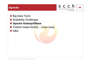Agenda


       Big Data Trend
       Scalability Challenges
       Apache Hadoop/HBase
       Firebird meets NoSQL – Case study
       Q&A




© Software Competence Center Hagenberg GmbH   12
 