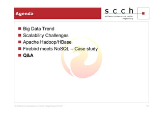 Agenda


       Big Data Trend
       Scalability Challenges
       Apache Hadoop/HBase
       Firebird meets NoSQL – Case study
       Q&A




© Software Competence Center Hagenberg GmbH   29
 