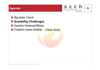 Agenda


       Big Data Trend
       Scalability Challenges
       Apache Hadoop/HBase
       Firebird meets NoSQL – Case study




© Software Competence Center Hagenberg GmbH   8
 