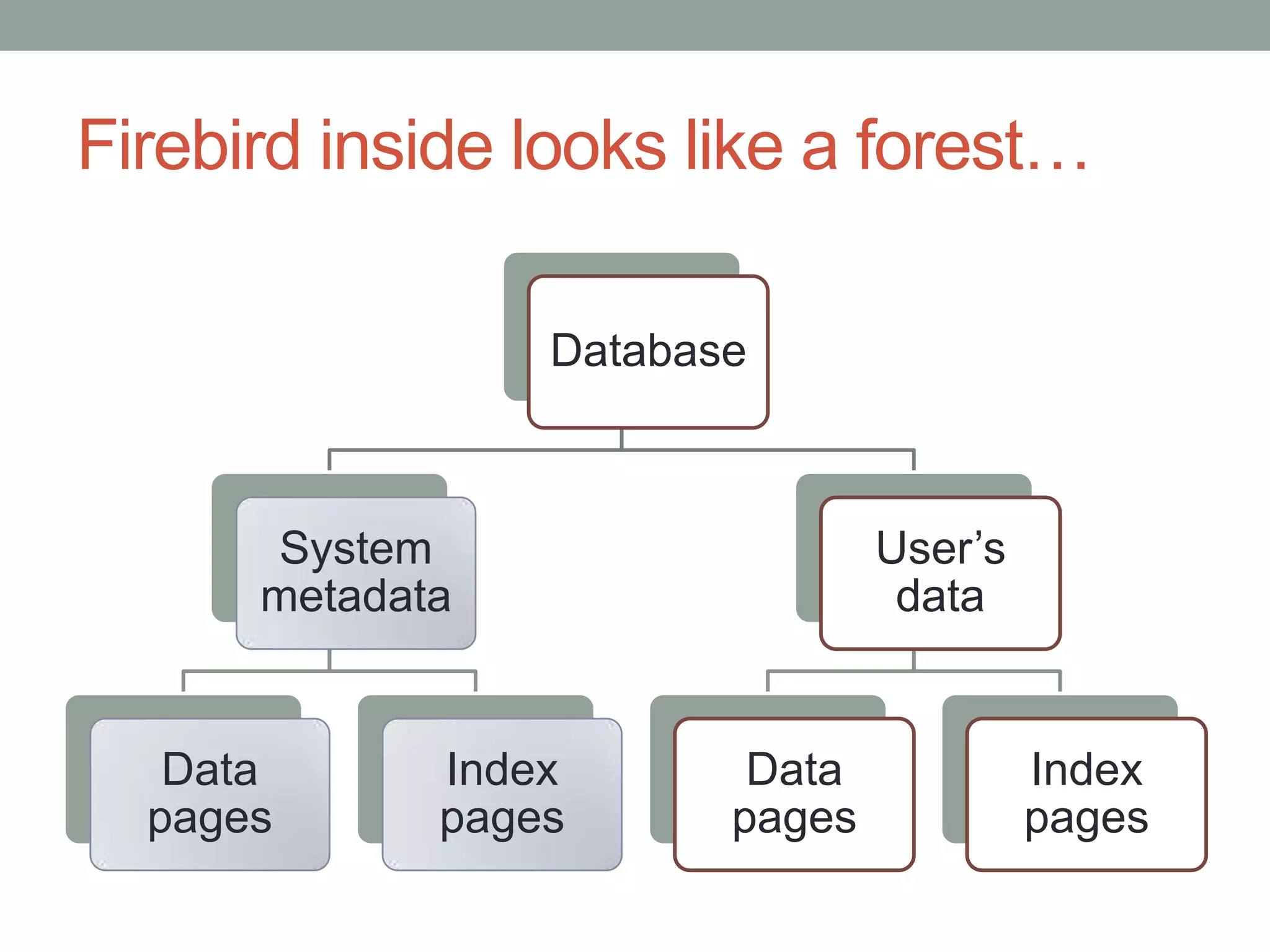 Firebird inside looks like a forest…

                 Database



      System                    User’s
      metadata                   data


   Data      Index       Data            Index
  pages      pages      pages            pages
 