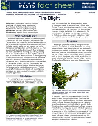 page 1 	
What You Should Know
Fire Blight
Utah Pest Factsheet
Kent Evans, Extension Plant Pathology Specialist
Erin Frank, USU Plant Disease Diagnostician
Taun Beddes, Cache County Extension Agent
Mike Pace, Box Elder County Extension Agent
Maggie Shao, Salt Lake County Extension Agent
Alicia Moulton, Wasatch County Extension Agent
Published by Utah State University Extension and Utah Plant Pest Diagnostic Laboratory June 2008PLP-009
Utah Pest Factsheet
been found in all pear and apple-producing areas
in the United States, as well as in New Zealand and
Europe. Erwinia amylovora has the ability to infect many
ornamental plants of the rose family, but is particularly
important on pear and apple. It not only destroys the
current season’s crop, but may damage the structure
of the tree and reduce subsequent production. Highly
susceptible trees may be killed in a single season.
Introduction
Symptoms
Fire blight (Fig. 1) is a serious bacterial disease of
pears and apples that was first observed in the late
1700’s in the Northeastern United States. It has since
Fire blight symptoms are easily recognized by the
scorched appearance of leaves, blossoms, and young
terminal shoots. Initial infection causes wilt; infected tis-
sue and tissue outward of infections turns black on pear
and brown on apple. Blighted leaves remain attached to
the tree through much of the dormant season. Infected
ends of shoots (terminals) often exhibit a typical curling
on the end, called a “shepherd’s crook” (Figs. 1 and 2).
Small droplets of bacterial ooze are a diagnostic sign
Adapted from “Fire Blight of Pears and Apples,” Utah Plant Disease Control No. 27, Revised 2000.
Fire blight is a bacterial disease of rosaceous plants.
Economically, it is most serious on pears and apples.
The bacterium that causes fire blight, Erwinia amylovora,
can be spread by insects, contaminated pruning or graft-
ing tools, infected grafts, and any manner that carries
the bacterial pathogen from an infected plant to one that
is not, including wind and rain-splash. Pear and apple
are most susceptible at flowering, but actively growing
shoots can be infected as well. Fire blight can be man-
aged by cultural and chemical means. Carefully pruning
to remove infected wood in combination with the use of
agricultural antibiotics are the most effective means to
manage fire blight. Agricultural antibiotics, typically used
by commercial growers to control the pathogen, are
available to homeowners, but in certain areas of Utah,
the bacteria can be resistant to streptomycin. Vigilant
scouting for the disease combined with careful pruning
techniques are recommended to manage fire blight in
pear and apple trees.
Fig. 2. Note the “shephard’s crook” symptom at the terminal end of
the fire blighted apple shoot. Also note the blossom cluster where
the infection likely occurred.
of fire blight. This ooze is amber colored on infected
leaves, flowers, and young terminals. Pear trees are
generally more susceptible to fire blight than apple trees.
Infection of pear flowers or terminals may progress into
larger branches and even into the trunk, causing death.
Apple infections usually result in death of flower clusters.
Fruit of either tree may also become infected, beginning
with a brown firm rot that rapidly encompasses the entire
fruit. Droplets of ooze are common on infected fruit. Fruit
eventually shrivel and may remain attached through the
winter. Bacterial cankers form when the infection pro-
gresses into woody tissue. Cankers are slightly sunken
areas with discoloration of the bark.
Fig. 1. A shoot on an apple tree exhibiting classic fire blight symp-
toms. Note the “shepherds crook”, scorched leaves, and droplet
of bacterial ooze (see arrows, left to right, respectively). Millions of
Erwinia amylovora bacteria are in the droplet of ooze.
 