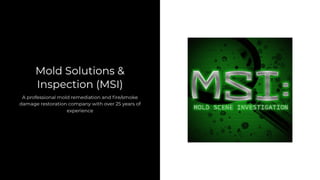 Fire Damage Restoration and Smoke Cleanup.pptx