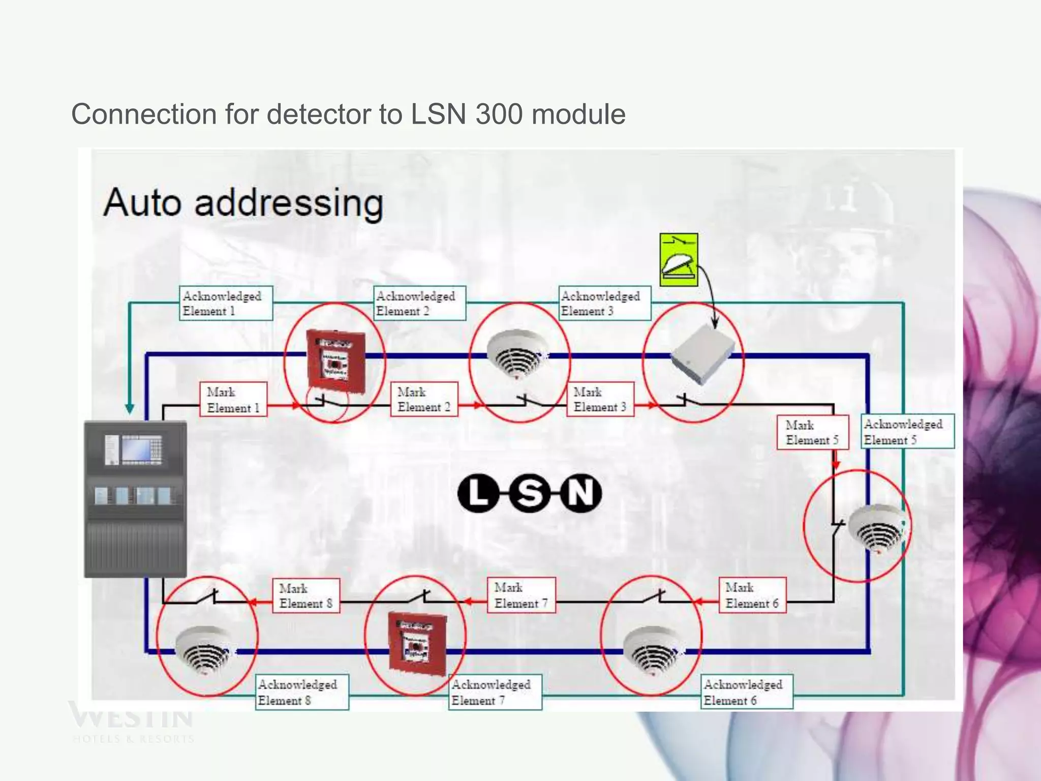 Connection for detector to LSN 300 module
 