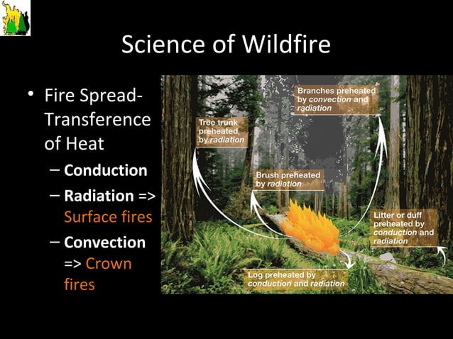 Fire ecology notes ppt | PPT