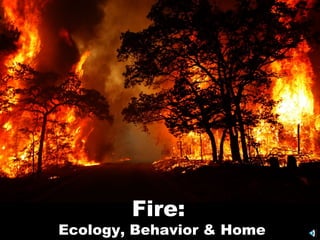 Fire:
Ecology, Behavior & Home
 