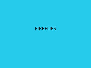 FIREFLIES
 