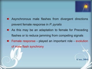 flashing signal evolution, mating choice and predation in firefly | PPSX