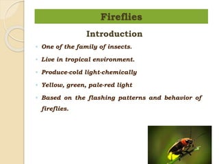 Firefly algorithm | PPTX
