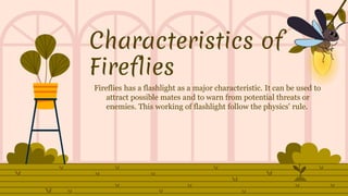 Characteristics of
Fireflies
Fireflies has a flashlight as a major characteristic. It can be used to
attract possible mates and to warn from potential threats or
enemies. This working of flashlight follow the physics' rule.
 
